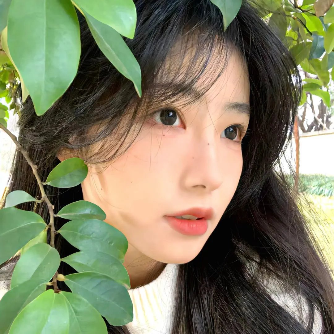 不是孤单一人2023